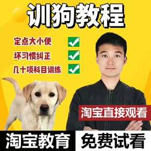 训狗教程零基础训犬视频教程训宠物狗神器训犬师狗狗训练视频课程