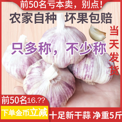 大蒜头干蒜5斤蒜2024紫皮山东