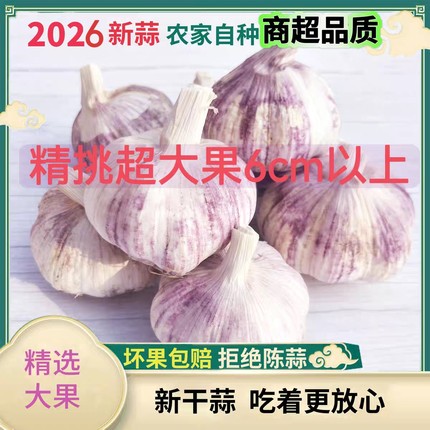 河南大蒜头干蒜5斤特大农家自种河南10斤干大蒜紫皮新干蒜大蒜头