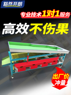 选果机水果分拣机全自动大小筛选分级机李子樱桃圣女果山竹分选机