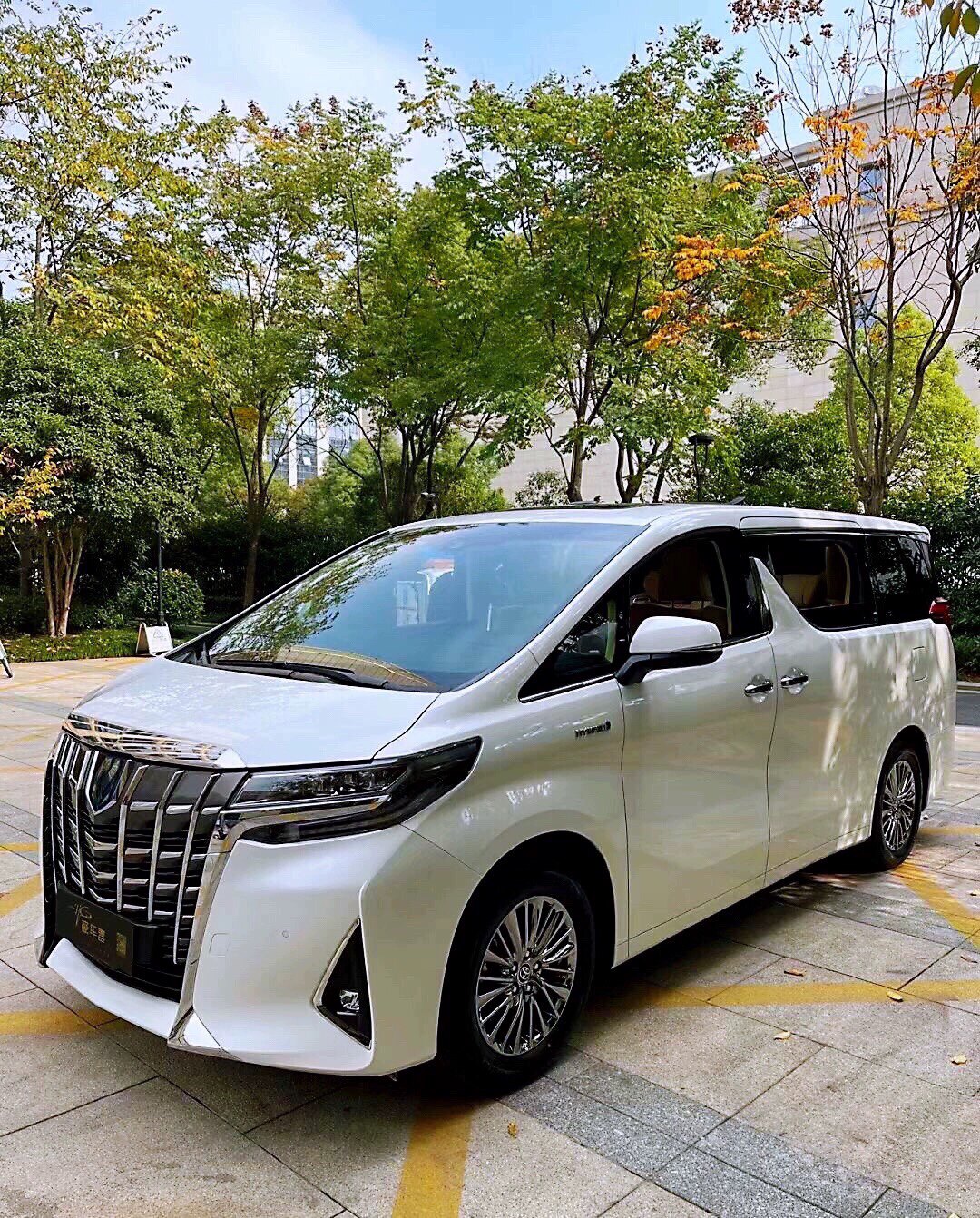 粤港两地牌7座丰田埃尔法商务车珠海市区往或返香港九龙区单程