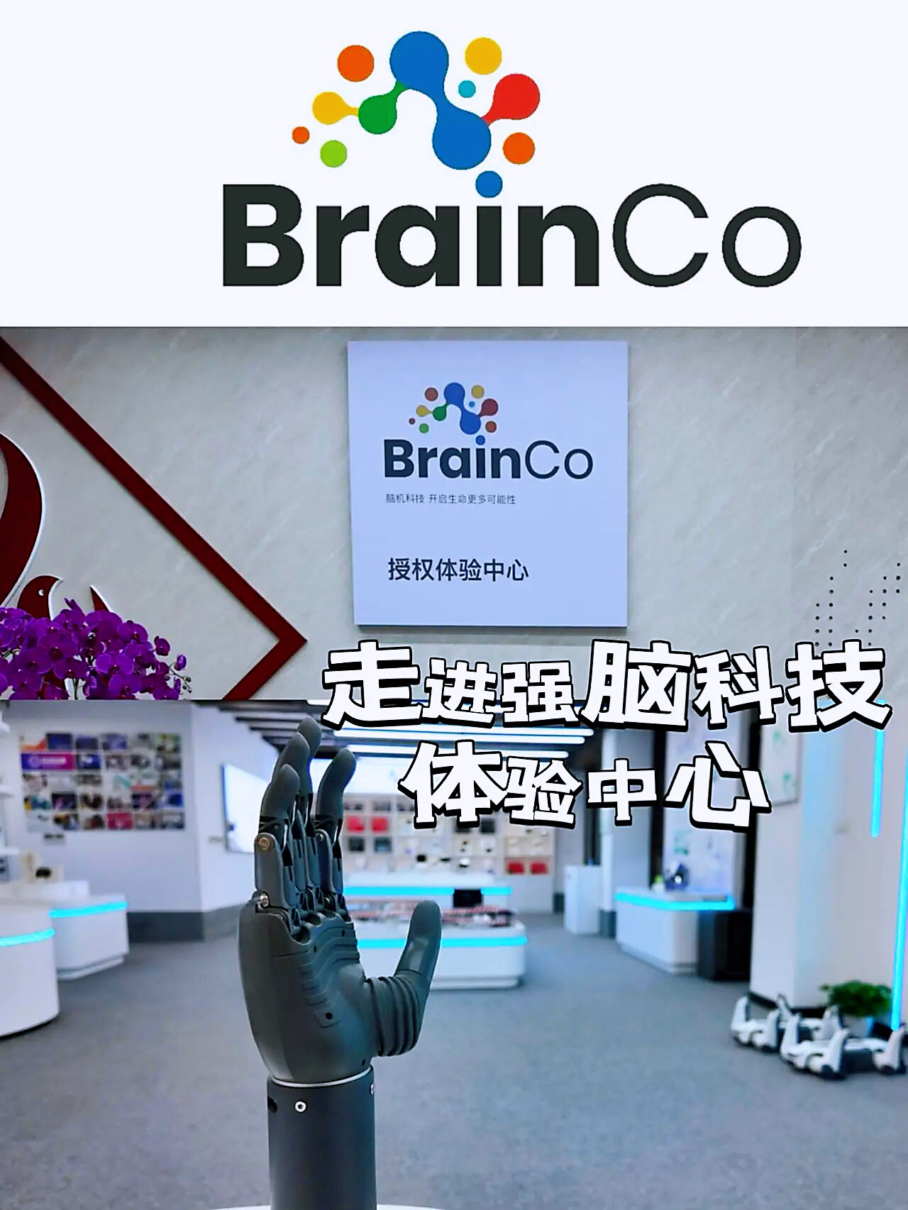 杭州强脑科技授权体验中心人工智能AI参访30人起成团不可个人报名