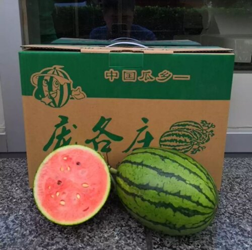 顺丰北京庞各庄小西瓜L600手剥皮薄小西瓜新鲜水果精品吊瓜