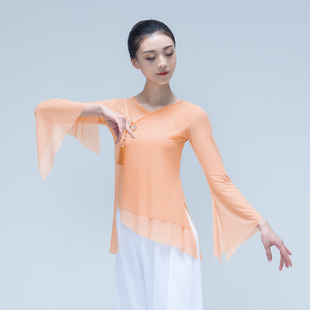 速发古舞舞身韵纱衣专业舞蹈练功服网松长袖 民族典台宽纱演出服