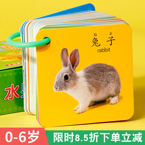 速发片物卡动识字婴幼儿认知数拼音儿童宝宝看图人物职业蔬菜水果