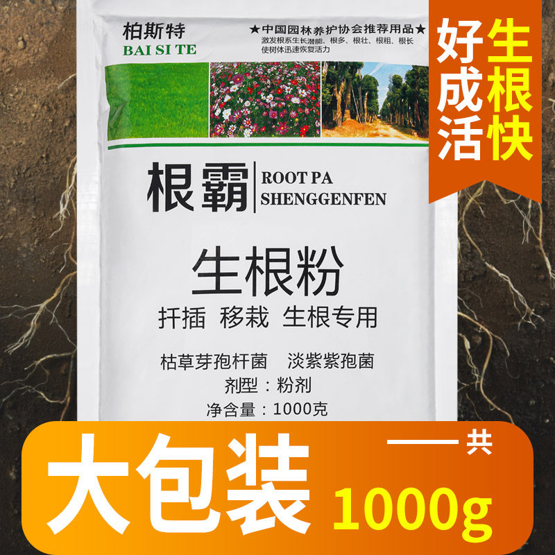 速发强力生根速植物通果扦插用树木快速粉效爆炸生跟粉发根剂液用