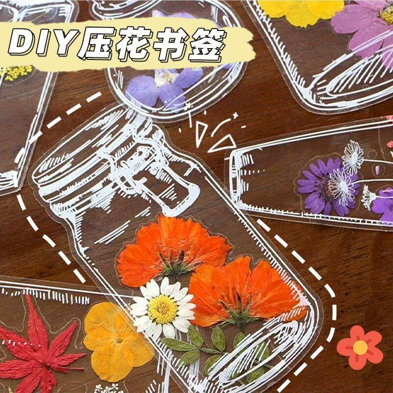 速发(大号)瓶子里的秋天干花书签收集秋天手工透明贴纸树叶书签