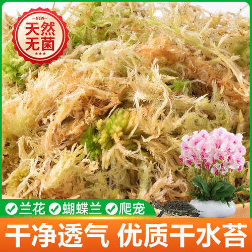 速发水苔蝴蝶兰专用营养土干苔藓乌花石斛盆景种植兰爬宠土龟垫材