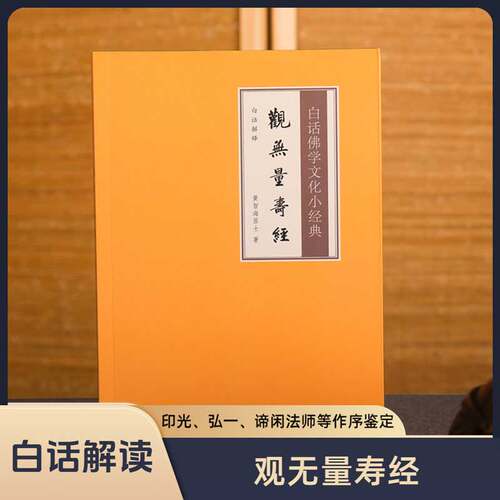 白话解释观无量寿经佛学经典文化