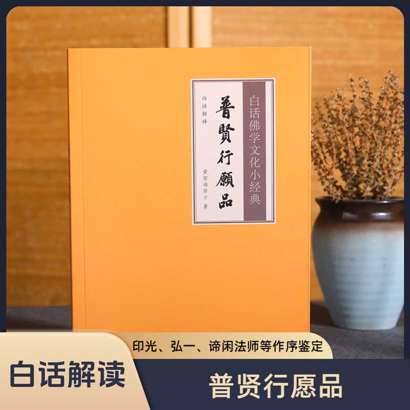 白话解释普贤行愿品佛学经典文化