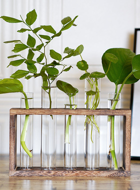 水培试管花瓶水养绿植插花植物容器简约木架摆件台面装饰玻璃花器