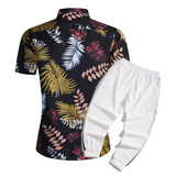 1508-CS14+K522-P45外贸欧美跨境现货短袖衬衫套装夏威夷沙滩衬衣，男装T恤，星座1508-1