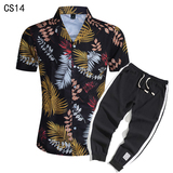 1508-CS14+K522-P45外贸欧美跨境现货短袖衬衫套装夏威夷沙滩衬衣，男装T恤，星座1508-1