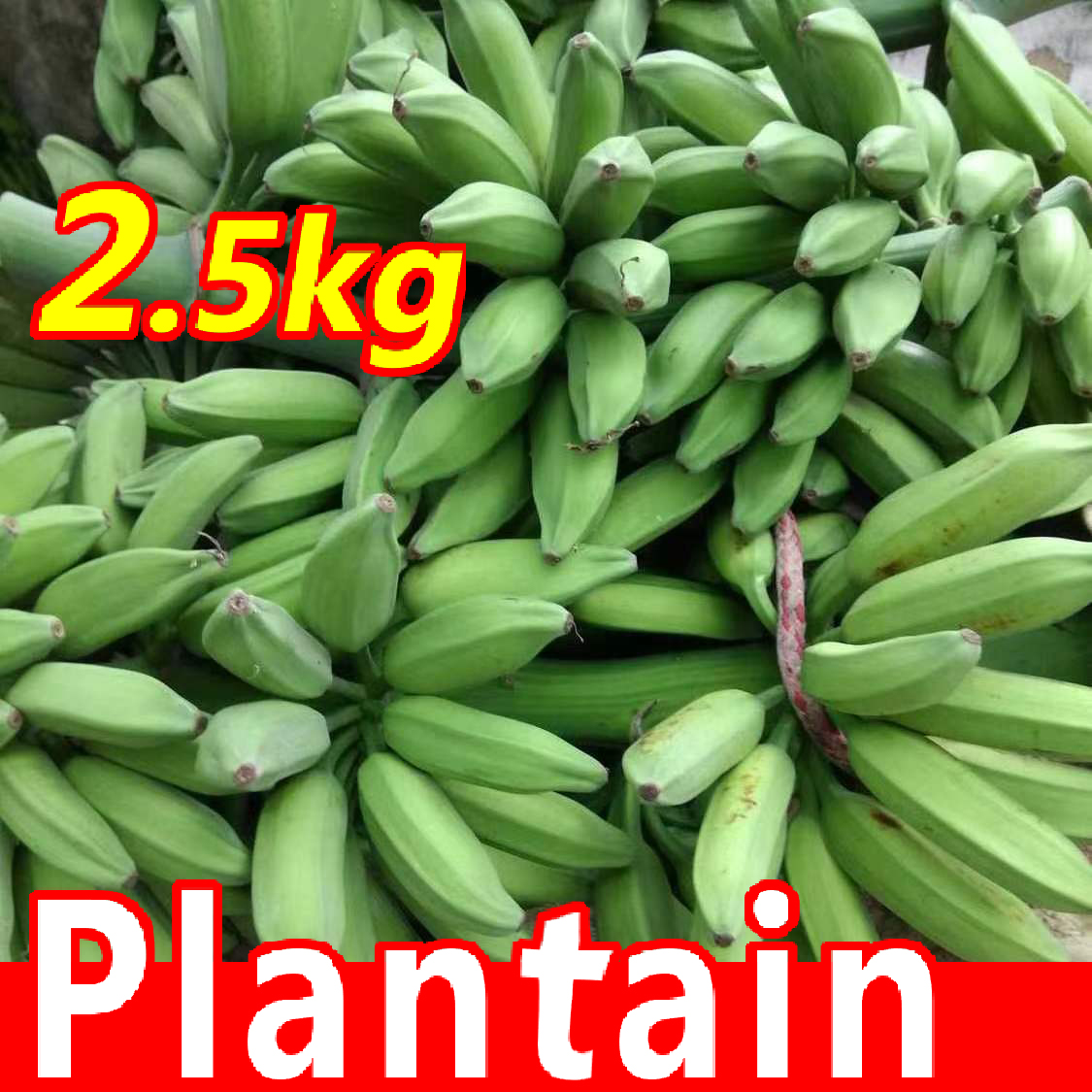 FreshPlantainAfricaBanana