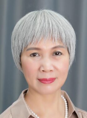 老年人白色头发自然假发