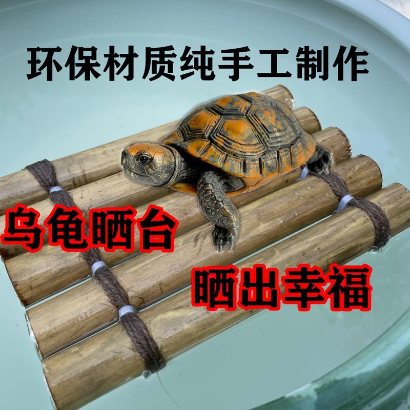 乌龟晒台爬缸高水位休息