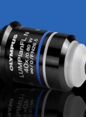奥林巴斯 水浸物镜UMPLFLN Olympus10x/0.3 Water Immersion Ojb