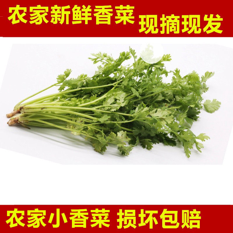 小香菜 存农家肥矮香菜新鲜小菜 熏酱菜 保鲜 美食配料饭包菜包邮,水产肉类/新鲜蔬果/熟食,叶菜类,淘宝优惠券,粉丝福利购,淘宝优惠卷