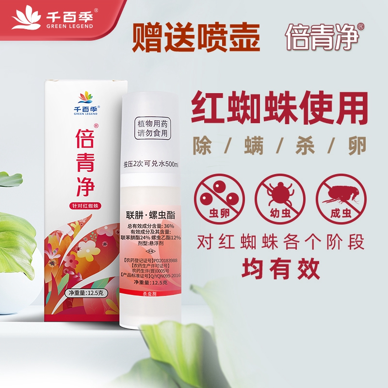 千百季倍青净联肼螺虫酯红蜘蛛图片