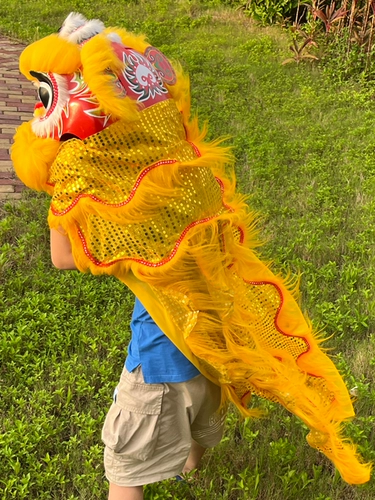 Танец льва, детский маленький львиный реквизит в детском саду, реквизит для выступлений в китайском стиле, шерсть, пробуждение льва, ученики начальной школы, двойной одинарный