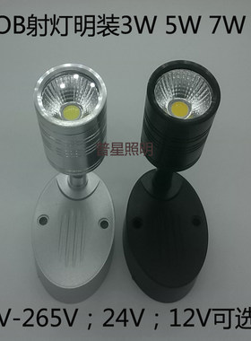 明装低压12V24伏射灯COB聚光