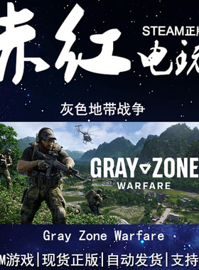 steam pc 电脑 灰色地带战争 Gray Zone Warfare 国区 好友送礼