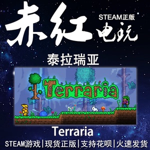 PC中文正版 steam 平台 国区 沙盒 联机 游戏 泰拉瑞亚 Terraria