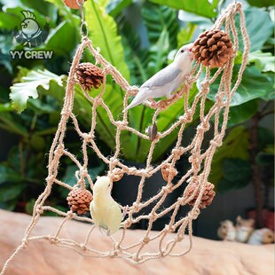 速发鹦鹦队 益鹉麻绳攀爬网鹦智训练爬网吊网千秋牡丹玄凤玩具鸟