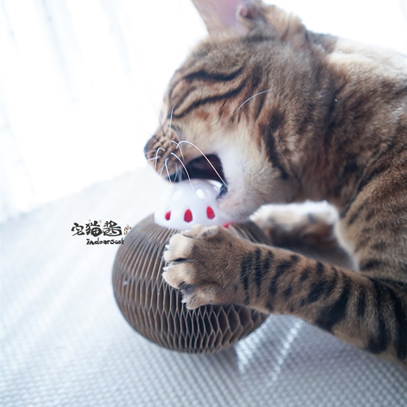 速发宅猫酱 瓦楞纸铃铛猫玩具哑铃圆球耐抓挠磨爪猫抓板猫用品