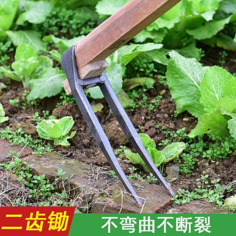 速发菜子开具三齿家用全钢长把二齿锄头两用挖土农荒种耙开垦种地