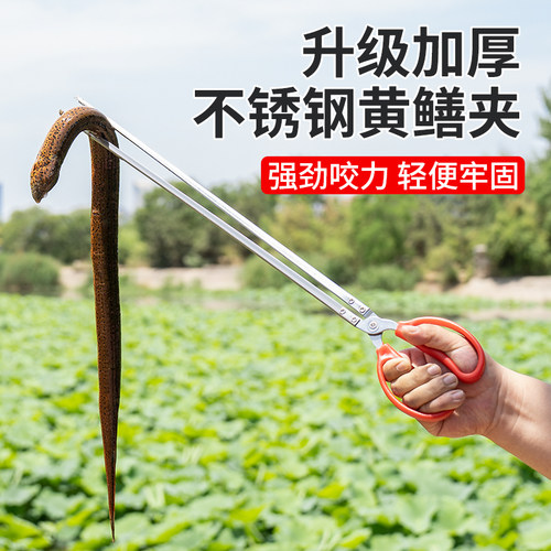速发黄鳝夹子蟹锈钢鳝鱼专用夹神器夹泥鳅钳赶抓龙虾螃不防滑子海