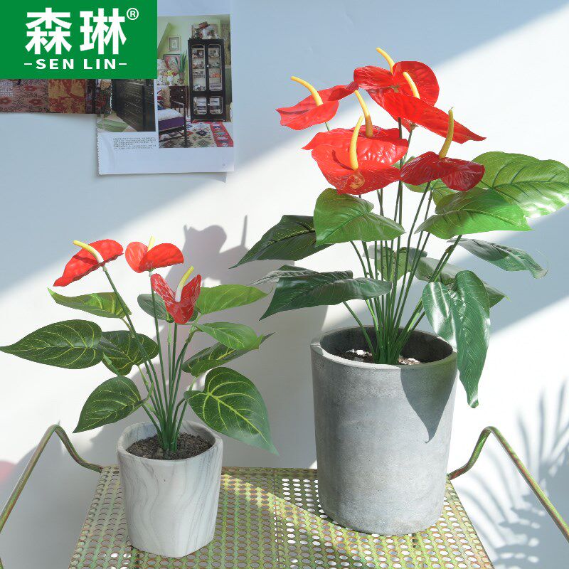 速发室植红掌假花客厅绿内外茶几塑料假盆栽落摆设件装饰植物景地
