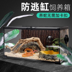 速发爬居玉米蛇饲养箱乌宫蜥蜴角蛙寄宠蟹守龟蛇虫玻璃雨林缸全透