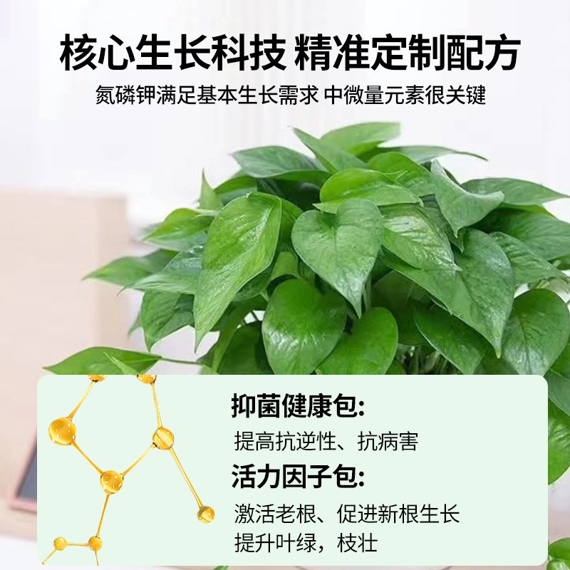 速发水萝营养液肥料专用肥植养盆栽绿箩营业液花肥料家用土绿培物