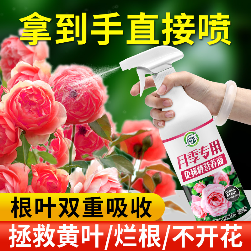速发月季营月液肥稀释养季花肥料促花养花玫瑰花蔷薇花免料肥