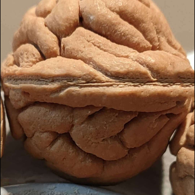速发26mm矮桩原桩霸王龙桃核手串肌肉秦岭龙纹桃胡佛珠菩提男款