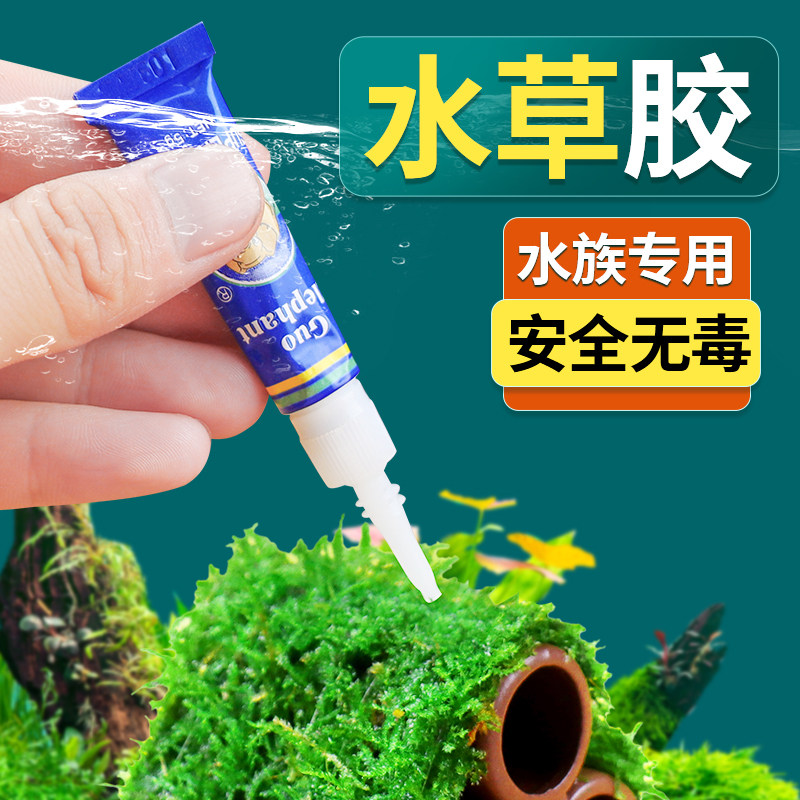 水草胶莫斯造景胶国象图片