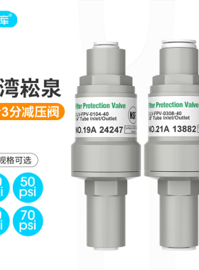 台湾进口3分40psiro水机减压阀