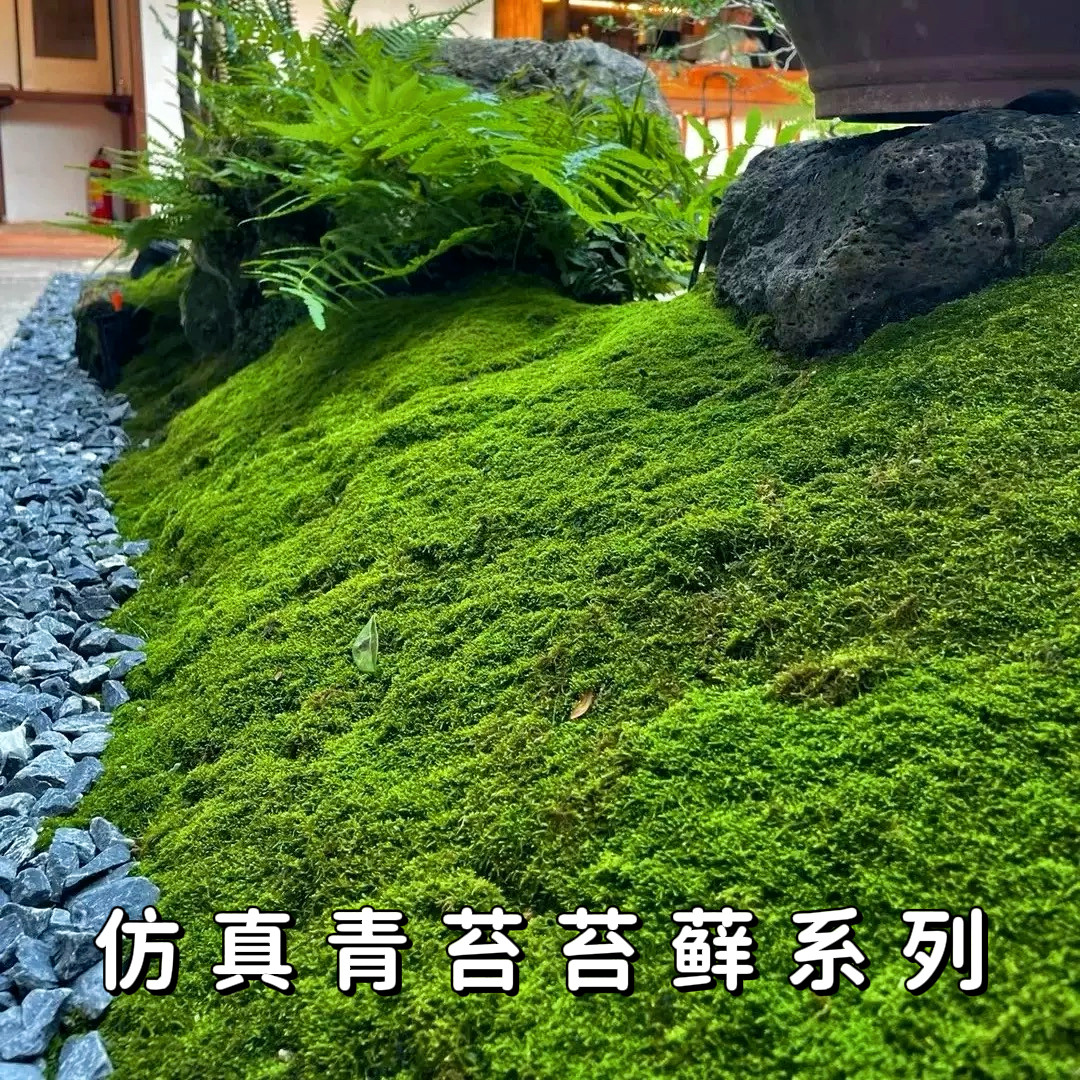仿真苔藓草皮微景观盆景造景装饰 假苔藓青苔植物墙绿植人造草坪