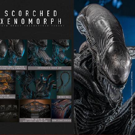 HOTTOYS异形夺命舰1/6可动人偶