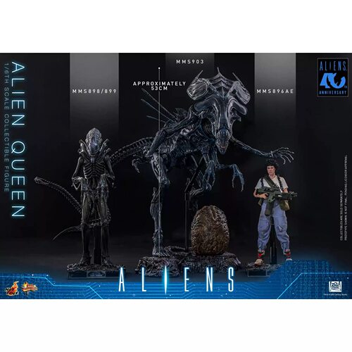 HOTTOYS HT 1/6 MMS903 异形2 异形皇后 长约100cm 可动