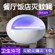粘捕式 灭蚊灯 灭蝇灯餐厅饭店商铺用驱杀诱捕苍蝇灯灭蝇神器挂壁式