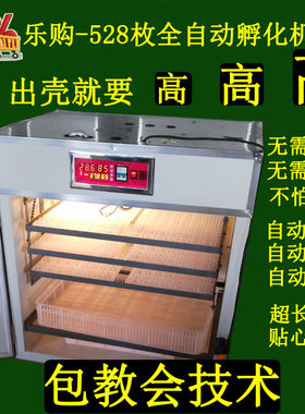 速发厂家孵化鹅蛋双孵化设备鹌鹑蛋抱化机鸭苗孵化器电鸡蛋箱出壳