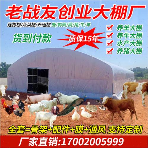 现货速发椭圆管养殖大棚养鸡大棚全套养猪牛羊大棚骨架钢管种植蘑