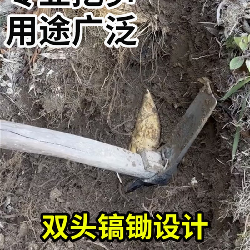 现货速发挖冬笋春笋锄头挖竹笋手工锻打农用工具种菜除草翻地松土