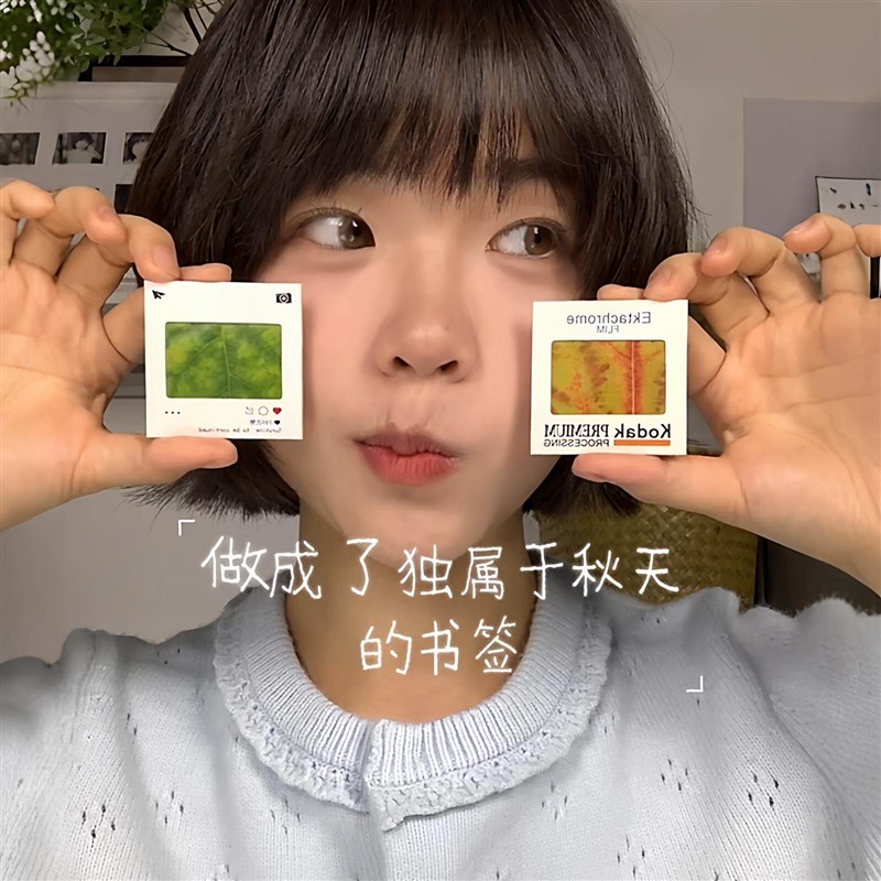 速发落叶书签手工材料复古反转片空夹胶片片夹自带背胶创意小礼物图片