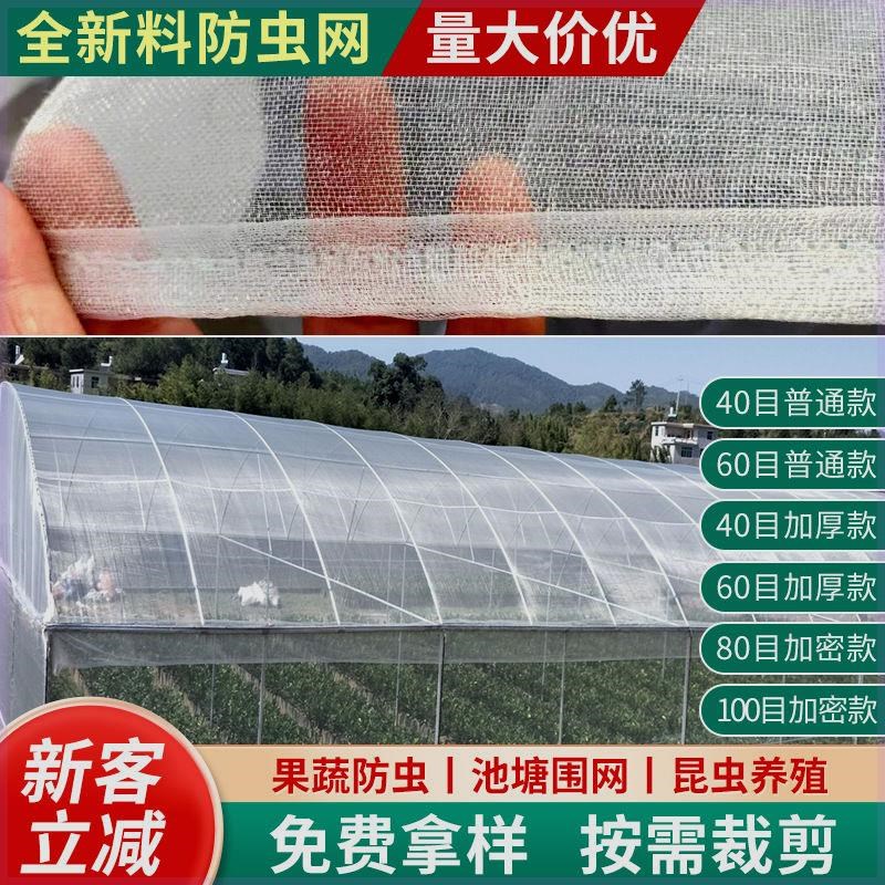 速发农用防虫网纱鸟菜地大棚网蝇殖场庭院防蚊苍养果树防网加密加