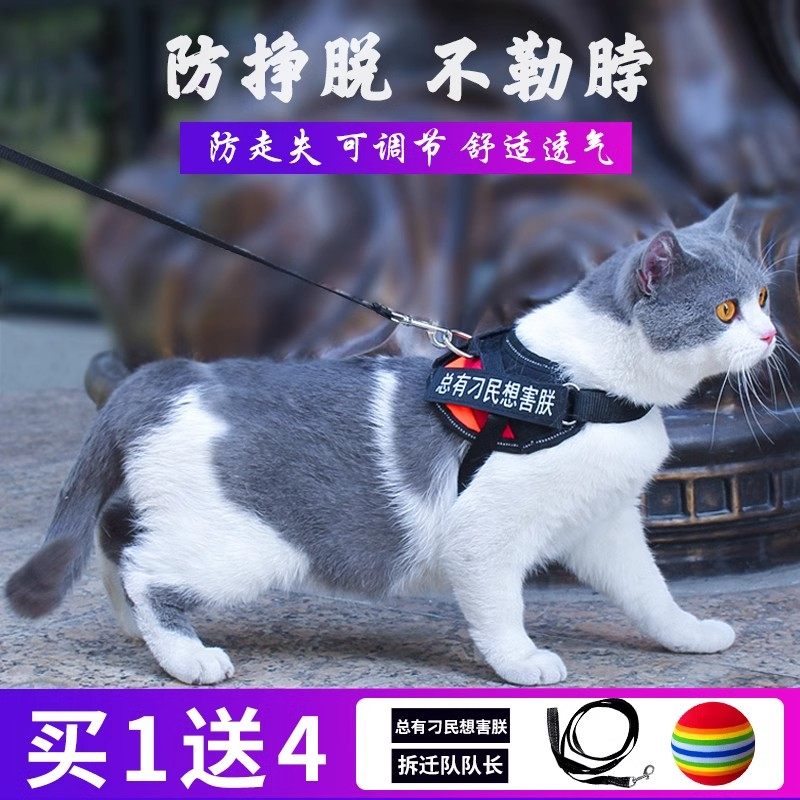 速发猫咪防挣脱绳用溜猫专小猫绳背心式背带项圈栓遛猫绳子猫链,宠物/宠物食品及用品,猫牵引绳,淘宝优惠券,粉丝福利购,淘宝优惠卷