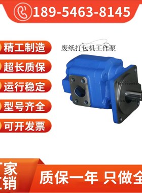 速发废纸打包机工作泵 JHP0100 20602080 2070 202 2 40 G 齿轮泵