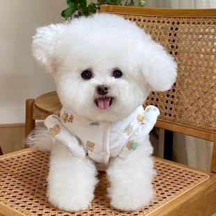 速发衣服秋冬新款夹比开衫裙子加迪棉熊猫咪泰绒牵引外套